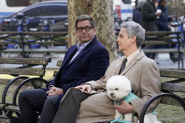 Bild 1 von 13: Jason Bull (Michael Weatherly, l.); Parker Reilly (Patrick Breen, r.)