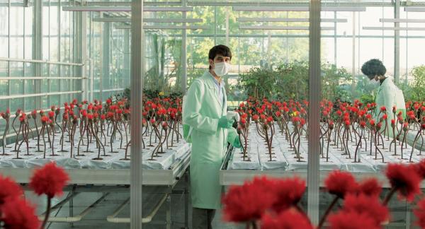 Bild 1 von 7: Im Bild: Ben Whishaw (Chris).