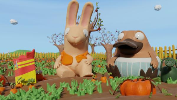 Bild 1 von 4: Hase Bio und Nö-Nö im Beet