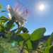 Planet Weltweit