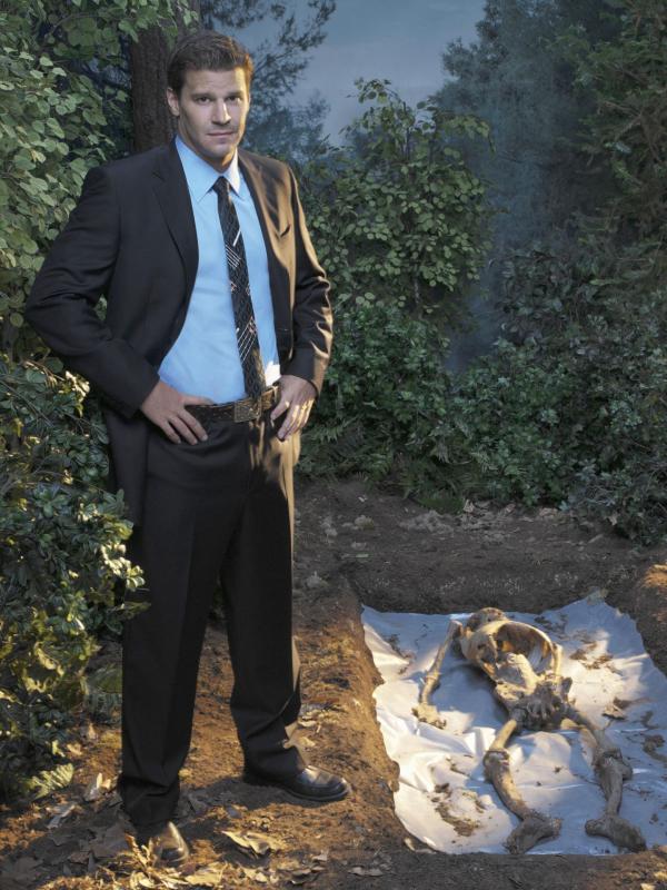 Bild 1 von 9: (1. Staffel) - Booth (David Boreanaz)