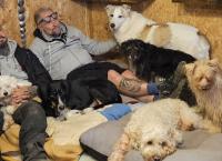 Harte Hunde - Die Urlaubsvertretung