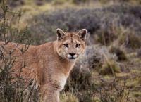 Sieben Kontinente - Ein Planet