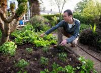 Alan Titchmarsh - Die Hobbygärtner