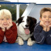 Bild 12