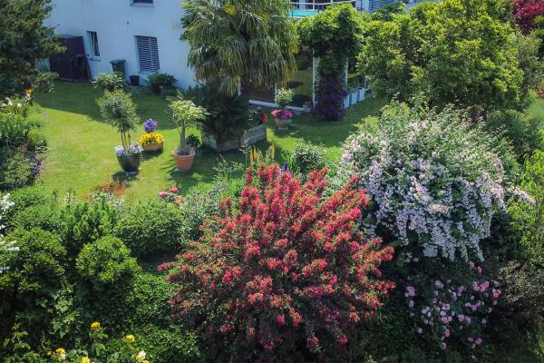 Bild 1 von 3: .