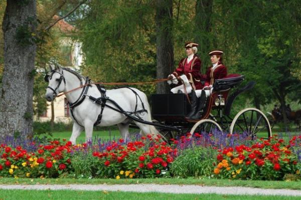 Bild 1 von 4: Jedes Jahr im Herbst wird wieder zum Halali geblasen: Auf Schloss Schleißheim findet eine der wohl eindrucksvollsten Jagdveranstaltungen in Bayern statt.