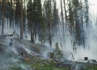 Die Erde aus dem All