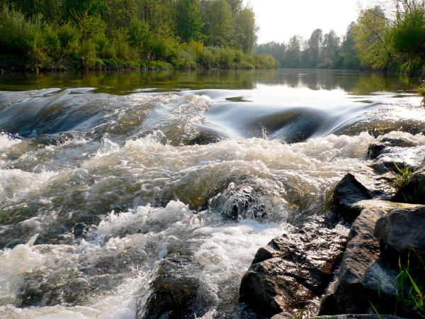 Bild 1 von 5: Wo einst hohe Gebirge aus den Urmeeren emporragten und heute eine sanfte, hügelige Landschaft das nördliche Waldviertel prägen, entspringt ein Fluss, der bis zu seiner Mündung in die Donau eine faszinierende Vielfalt an geologischen Gegebenheiten durchfließt: der Kamp. Es ist die Lebensader für eine vielfältige Flora und Fauna, aber auch für die Menschen, die hier im Lauf der Zeit eine spezifische Lebenskultur entwickelt haben. Der Film verfolgt den Fluss im Wandel der Jahreszeiten - eine spannende Reise durch ein faszinierendes Tal und seine Geschichte.