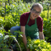 Garten & Lecker