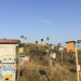 mareTV