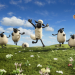 Shaun das Schaf - Der Film