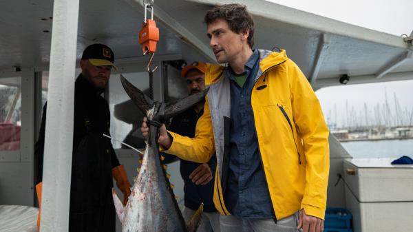 Bild 1 von 13: Im Mittelmeer wurde der Thunfisch jahrelang überfischt. Mittlerweile haben sich die Bestände erholt. Was können wir aus dieser Erfolgsgeschichte lernen?