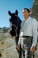 Gregory Peck in: Weites Land