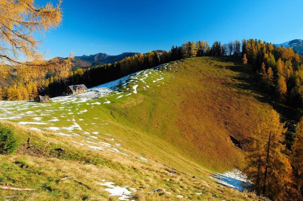 Bild 1 von 7: Im Bild: Blahbergalm im Nationalpark Kalkalpen.