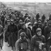 Der Zweite Weltkrieg