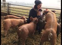 Unter unserem Himmel