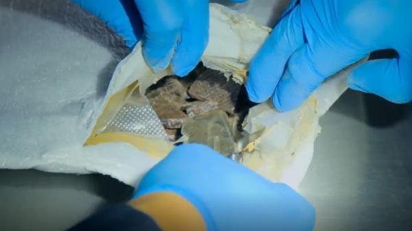 Bild 1 von 3: Welche Substanz steckt in diesem Glas? Was hier unauffällig aussieht, wurde möglicherweise heimlich eingeschleust.