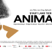 Animals - Stadt Land Tier
