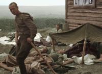 Hitlers Krieg im Osten - 1941-1943 (2)