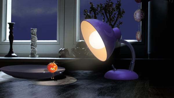 Bild 1 von 3: Die kleine Tomate hat ein Problem: Sie hat ihr Springseil verloren.