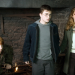 Harry Potter und der Orden des Phönix