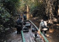 Giganten unter Wasser - Riesenfischen auf der Spur