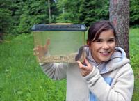 Anna und die wilden Tiere