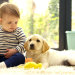 Die geheime Welt der Hunde