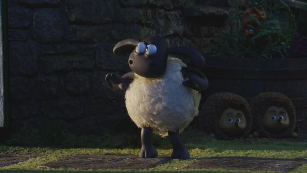 Bild 1 von 4: Timmy soll endlich schlafen, doch das kleine Schaf will lieber den Igeln helfen.