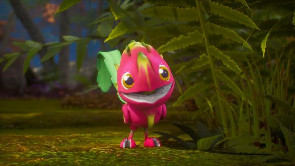 Bild 1 von 6: Der Drachenfruchtfliegus ist ein Meister im Nachmachen von Tierstimmen.