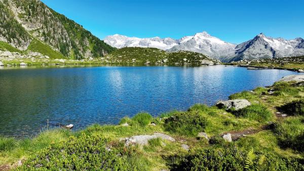 Bild 1 von 16: .