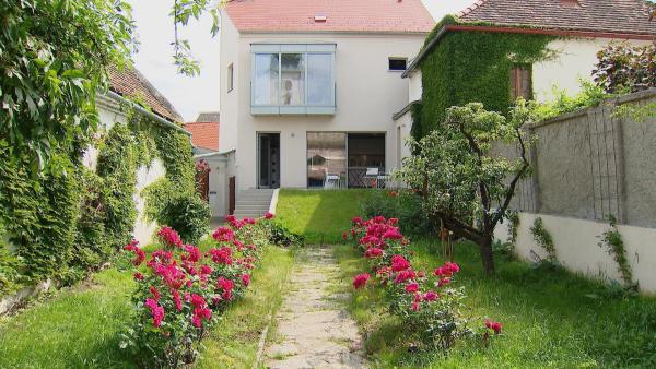 Bild 1 von 12: Im Bild: