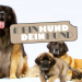 Mein Hund, dein Hund