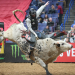 Bullriding
