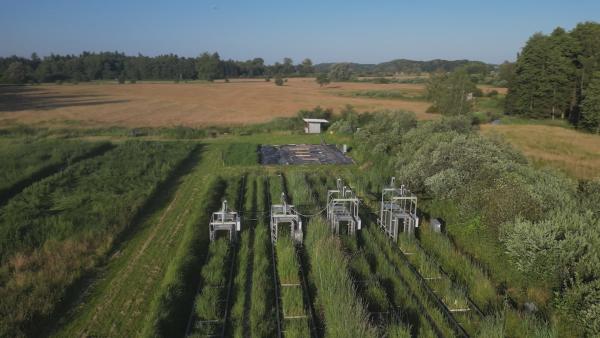Bild 1 von 7: Moore absorbieren doppelt so viel CO2 wie alle Wälder der Erde zusammen. Paludikulturen bieten die Chance, Landwirtschaft auf wiedervernässten Moorböden zu betreiben. Die Hochschule Weihenstephan-Triesdorf betreibt eine weltweit einzigartige Messanlage, die den Emissionsaustausch von Paludikulturen erfassen kann. So können die Forschenden ihre Klimabilanz errechnen.