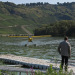 Die Mosel
