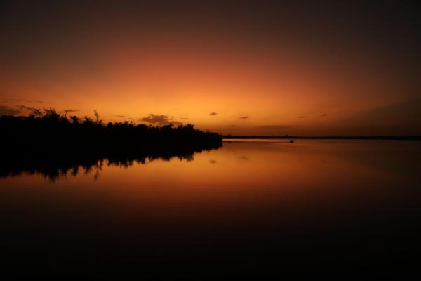 Bild 1 von 6: .