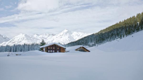 Bild 1 von 2: .