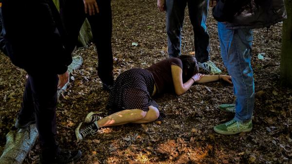 Bild 1 von 6: Mehrere Männer im Alter zwischen 16 und 20 Jahren missbrauchen während einer Feier ein junges Mädchen im Hamburger Stadtpark.