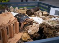 Schloss Einstein - Erfurt