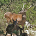 natur exclusiv