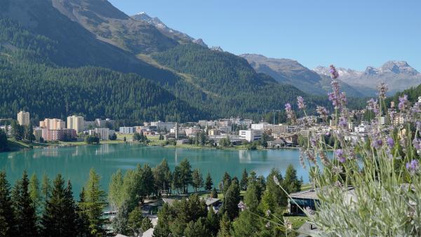 Bild 1 von 12: .