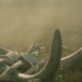 Humans - Geschichte der Menschheit
