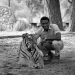 Daktari