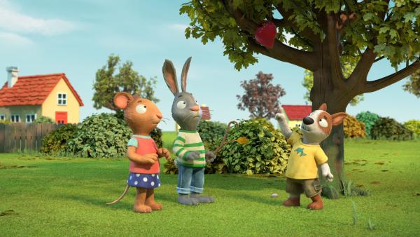 Bild 1 von 4: Frankie braucht Hilfe.