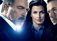 Blue Bloods - Crime Scene New York
