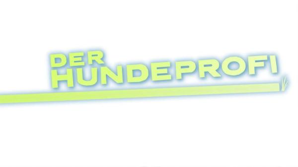 Bild 1 von 3: Der Hundeprofi - Logo