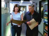 CSI: Den Tätern auf der Spur