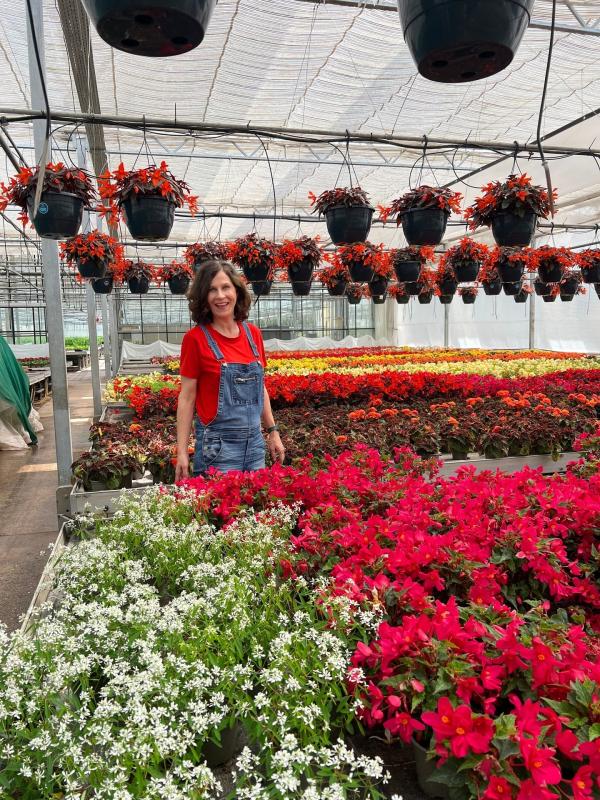 Bild 1 von 10: Der Bio-Anbau von Weihnachtssternen erfordert Geduld, denn die Kulturzeit ist wesentlich länger als im konventionellen Anbau.